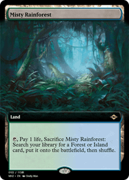 Misty Rainforest