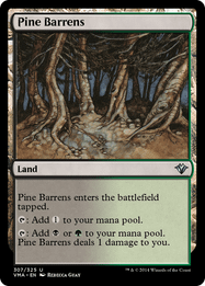 Pine Barrens