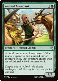 Animal Attendant