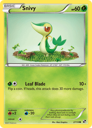 Snivy