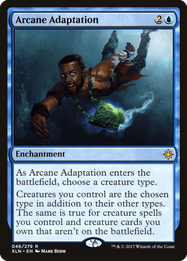 Arcane Adaptation