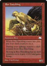 Roc Hatchling