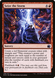 Seize the Storm
