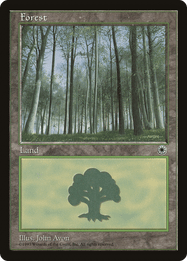 Forest