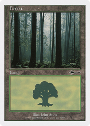 Forest