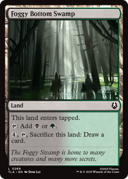 Foggy Bottom Swamp