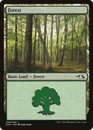 Forest
