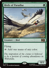 Birds of Paradise