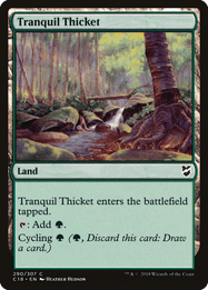 Tranquil Thicket