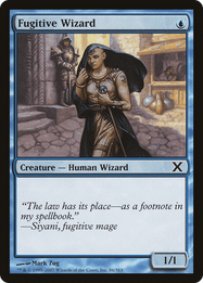 Fugitive Wizard