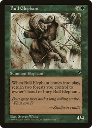 Bull Elephant