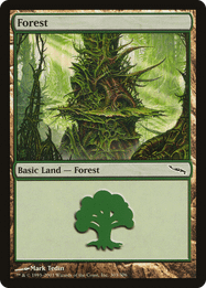Forest