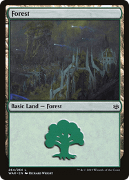Forest