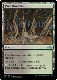 Pine Barrens