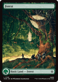 Forest