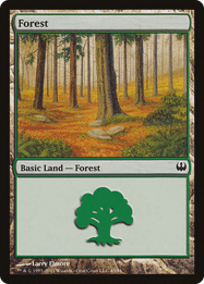 Forest