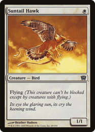 Suntail Hawk