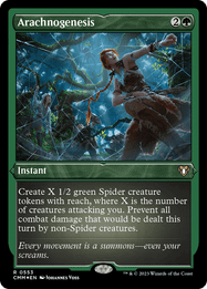 Arachnogenesis