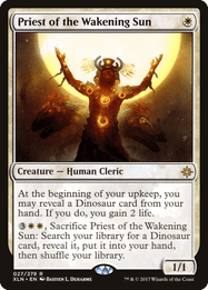 Priest of the Wakening Sun