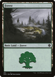 Forest