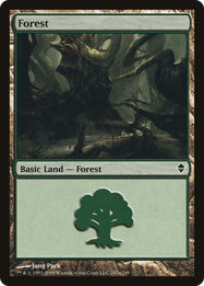 Forest