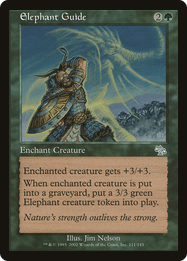 Elephant Guide