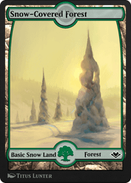 Snow-Covered Forest