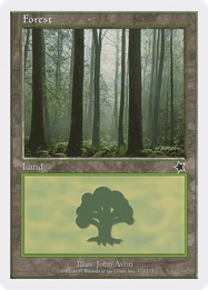 Forest