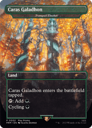 Tranquil Thicket