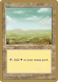Plains