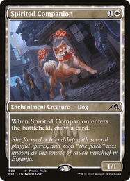 Spirited Companion
