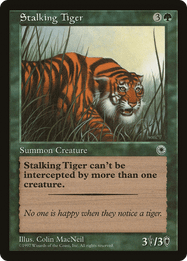 Stalking Tiger