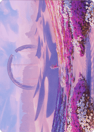 Plains // Plains