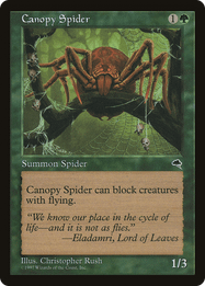Canopy Spider