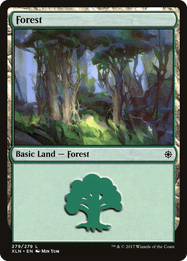Forest
