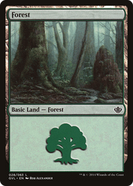 Forest