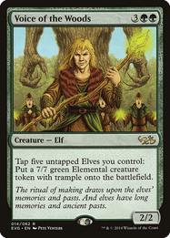 Voice of the Woods