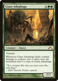 Giant Adephage