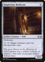 Suspicious Bookcase