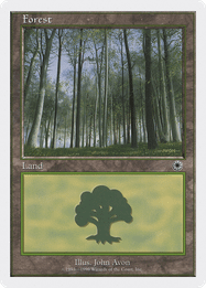 Forest