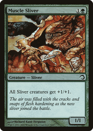 Muscle Sliver