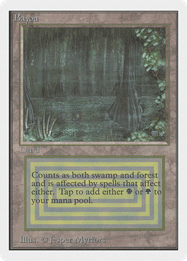 Bayou