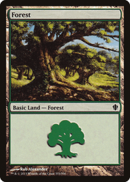 Forest