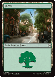 Forest