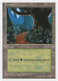 Forest