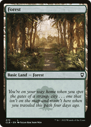 Forest