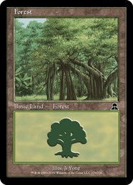 Forest