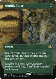 Worldly Tutor