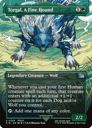 Torgal, A Fine Hound