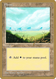 Plains